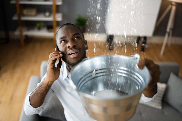 Best Emergency water damage restoration  in Fort Belknap Agency, MT