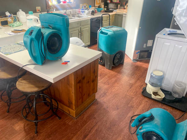 Best Mold removal after water damage  in Fort Belknap Agency, MT