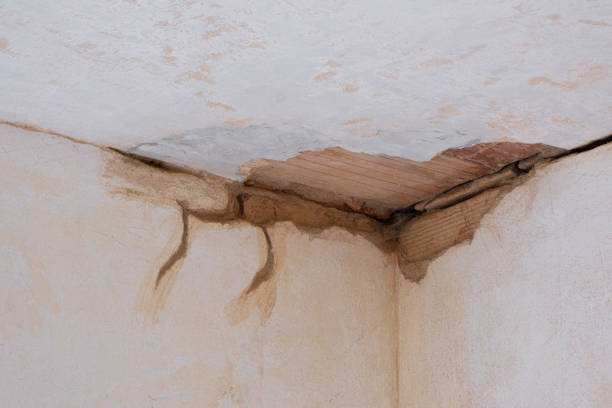 Sewage cleanup and water damage restoration in Fort Belknap Agency, MT
