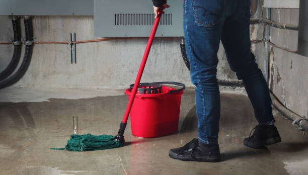 Best Professional water damage repair  in Fort Belknap Agency, MT