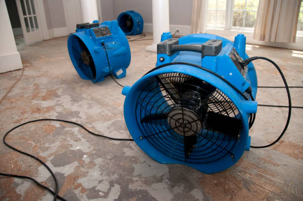 Water damage restoration insurance claims in Fort Belknap Agency, MT