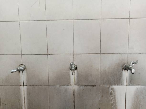 Best Water damage restoration near me  in Fort Belknap Agency, MT