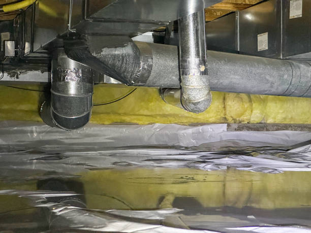 Best Flooded house restoration  in Fort Belknap Agency, MT