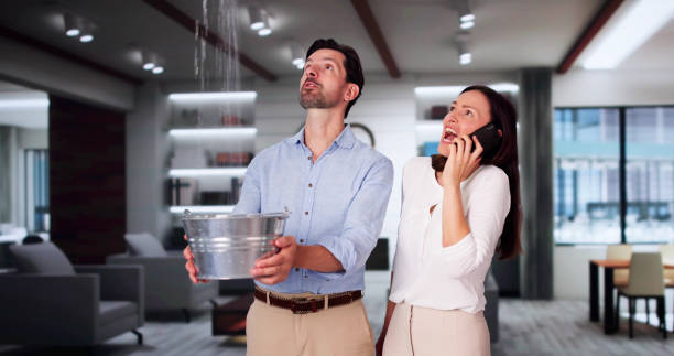 Best Water damage restoration near me  in Fort Belknap Agency, MT